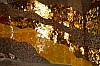 Herrenhaeuser Gaerten - (c) R Herling.jpg